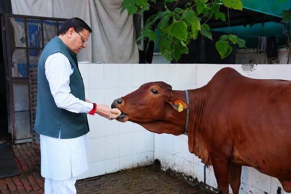 गौमाता की पूजा कर मुख्यमंत्री धामी ने प्रदेशवासियों की समृद्धि की कामना, गौ-संवर्धन को बताया आत्मनिर्भरता से जुड़ा विषय