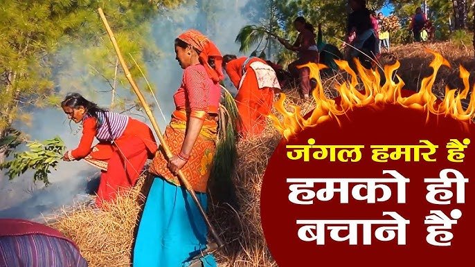 ‘शीतलाखेत मॉडल’: जंगलों की आग से जंग की सच्ची कहानी अब बड़े पर्दे पर..