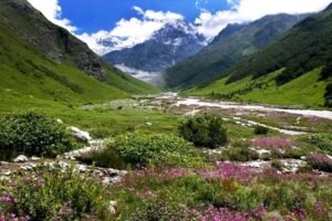 उत्तराखंड: एक जून से सैलानी कर सकेंगे वैली ऑफ फ्लावर का दीदार, तैयारियां तेज