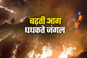 उत्तराखंड के जंगलों में आग का भयंकर तांडव, 3 महीने में 300 घटनाएं रिकार्ड, 239 हेक्टेयर वन क्षेत्र राख