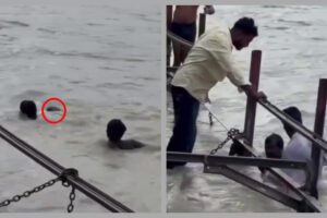 गंगा की बाढ़ में बह रहा था 70 साल का बुजुर्ग, हर की पैड़ी पर तभी हुआ चमत्कार, देखिए वीडियो