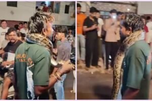 गले में अजगर डालकर सड़कों पर घूमा युवक, पोस्टमार्टम हाउस में घुसा तो मची अफरा-तफरी, जांच में जुटा वन विभाग