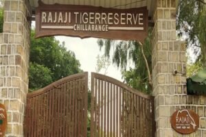 राजाजी और फूलों की घाटी के ईको-सेंसिटिव जोन का दायरा तय करने की कवायद तेज, पढ़ें पूरी खबर