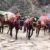 केदारनाथ में 25 टन बायो फ्यूल पेलेट्स तैयार, अब अगले चरण में बड़े स्तर पर होगा उत्पादन