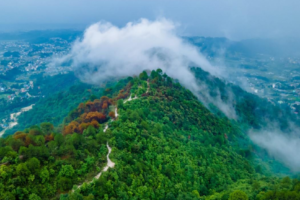 देहरादून और ऋषिकेश की हवा हुई साफ, बारिश के बाद AQI में हुआ सुधार
